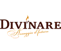 Светильники Divinare (Италия) в сериях / коллекциях