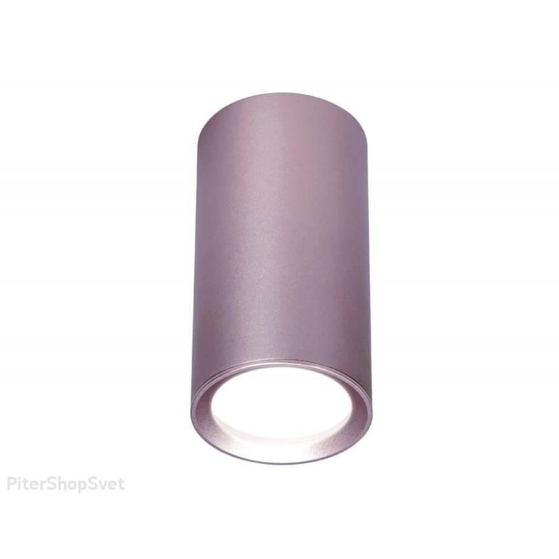 Фиолетовый накладной потолочный светильник «Techno Spot» TN220