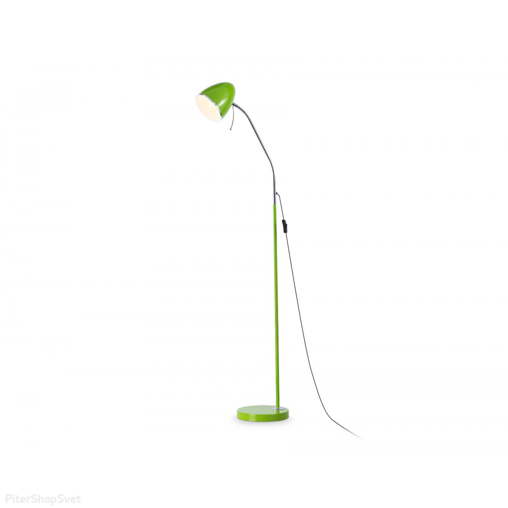 зелёный напольный светильник торшер с гибкой штангой TR97693