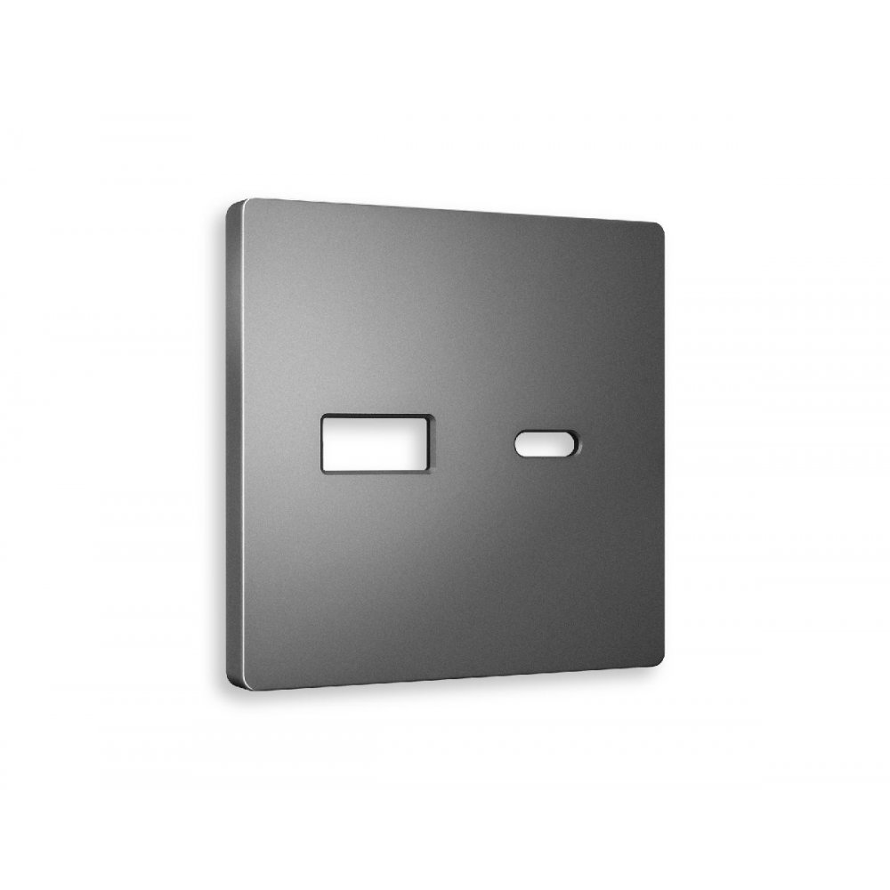Лицевая панель для розетки 2USB тип A+C, антрацит серый «Quant Alfa» AP6610