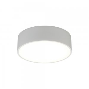 Белый накладной потолочный светильник 12Вт 4000К «Evon»