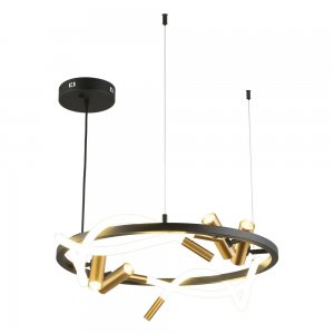 Подвесная люстра кольцо 60см с неоном и спотами «Malgorzata»