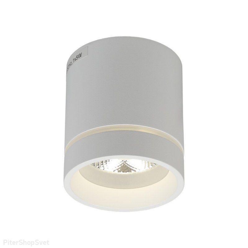 Белый накладной потолочный светильник цилиндр 5Вт 4000К «Gita» APL.0044.09.05