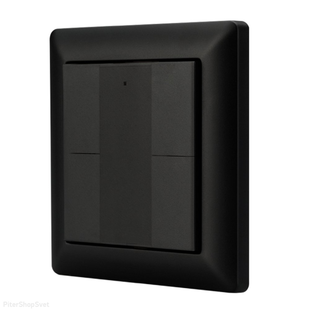 Встраиваемая кнопочная пластиковая панель «INTELLIGENT DALI-223-4K-D2-IN-BLACK» 032502