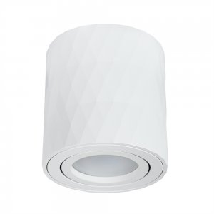 Накладной потолочный светильник цилиндр с поворотной лампой белый «Fang»
