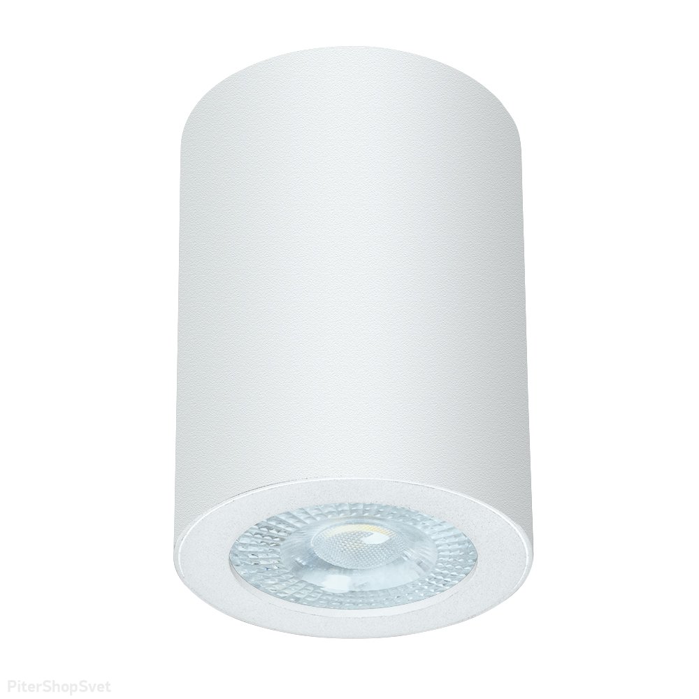 Белый накладной потолочный светильник цилиндр с влагозащитой IP44 «TINO» A1468PL-1WH