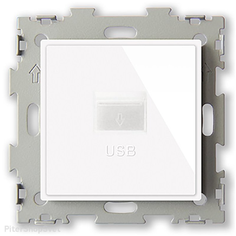 Розетка USB белая «Эстетика белый» GL-W201U-WCG