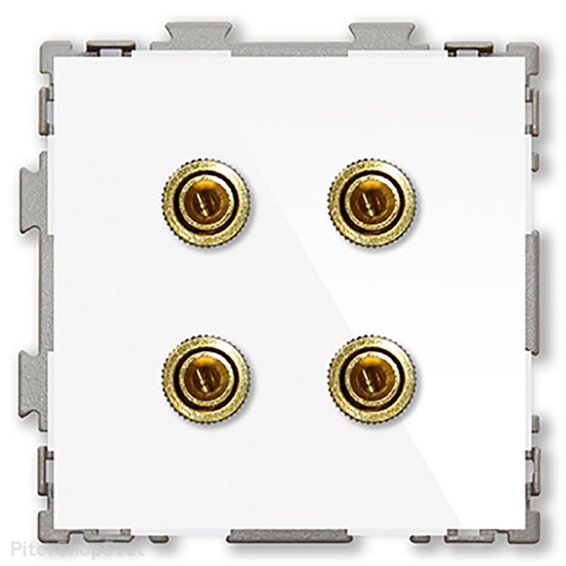 Розетка аудио Hi-End белая «Практика белый» PL-W201A-WCG