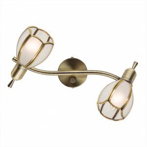 Двойной спот CL522621 «Альтен-2»