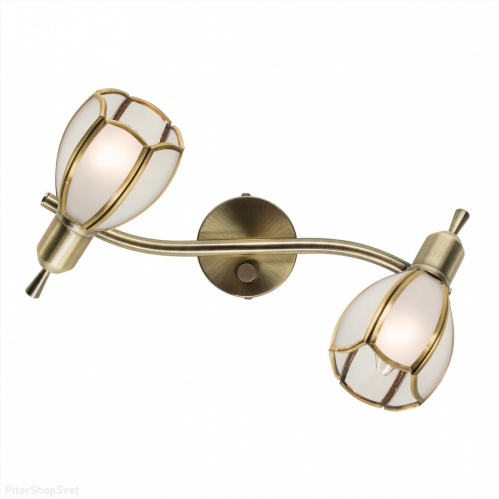 Двойной спот «Альтен-2» CL522621