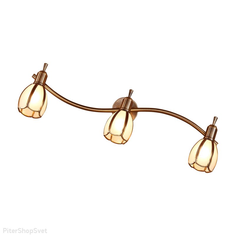 Тройной спот «Альтен-2» CL522631