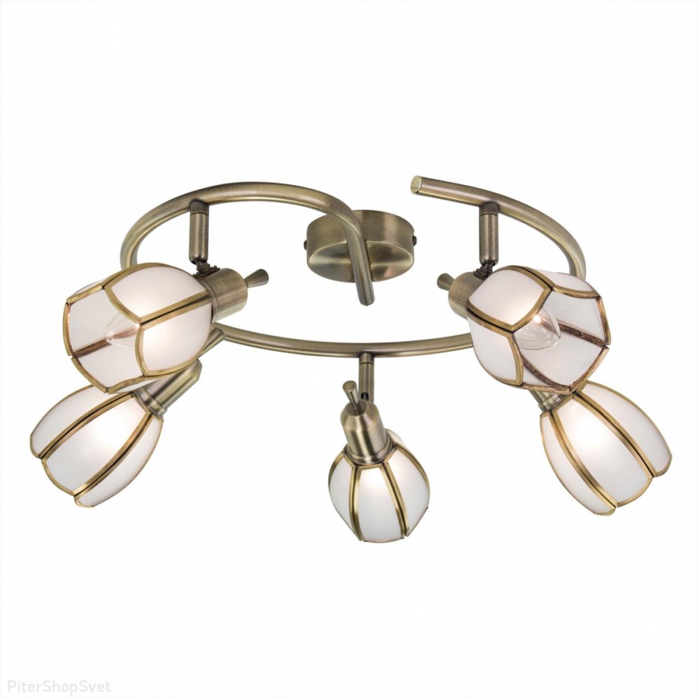 Спот на пять ламп «Альтен-2» CL522651