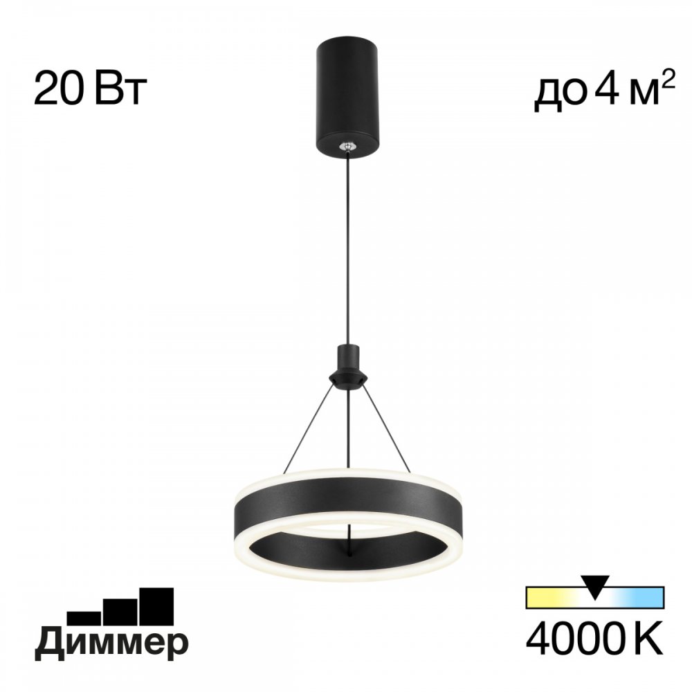 Чёрный подвесной светильник кольцо «Дуэт» CL719011