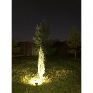 Серия / Коллекция «33005» от Covali™