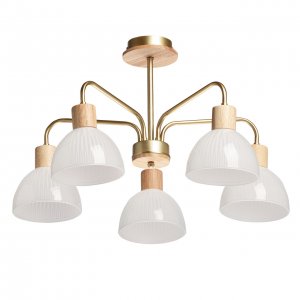 5-рожковая потолочная люстра «Dela»