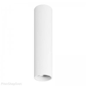 Белый накладной потолочный светильник цилиндр 20см «DK2000»