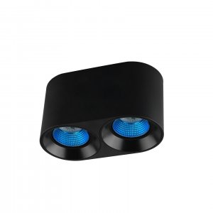 Двойной овальный накладной потолочный светильник чёрный, синий «DK3020»