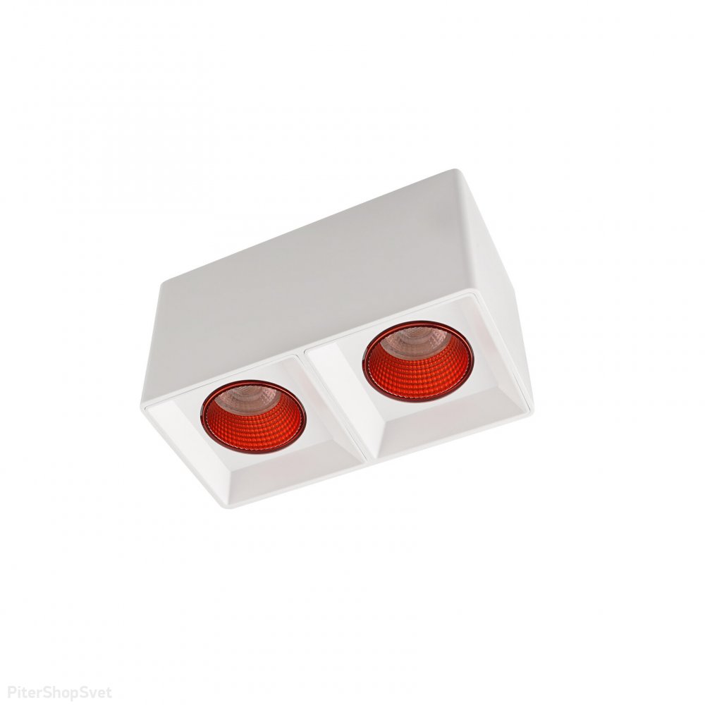 Двойной бело-красный накладной потолочный светильник DK3085-WH+RD
