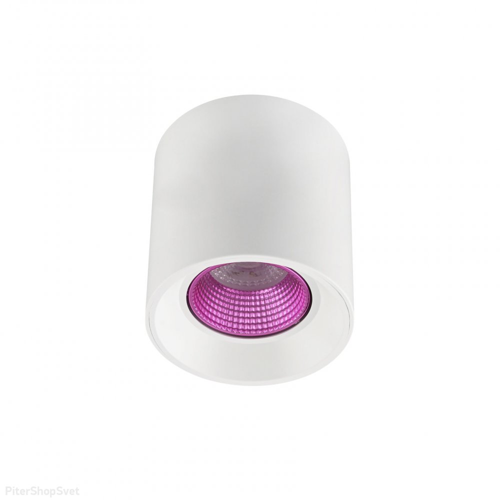 Бело-розовый накладной потолочный светильник цилиндр DK3090-WH+PI