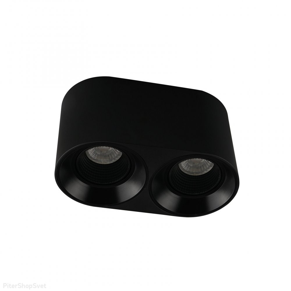 Чёрный двойной накладной потолочный светильник DK3096-BK