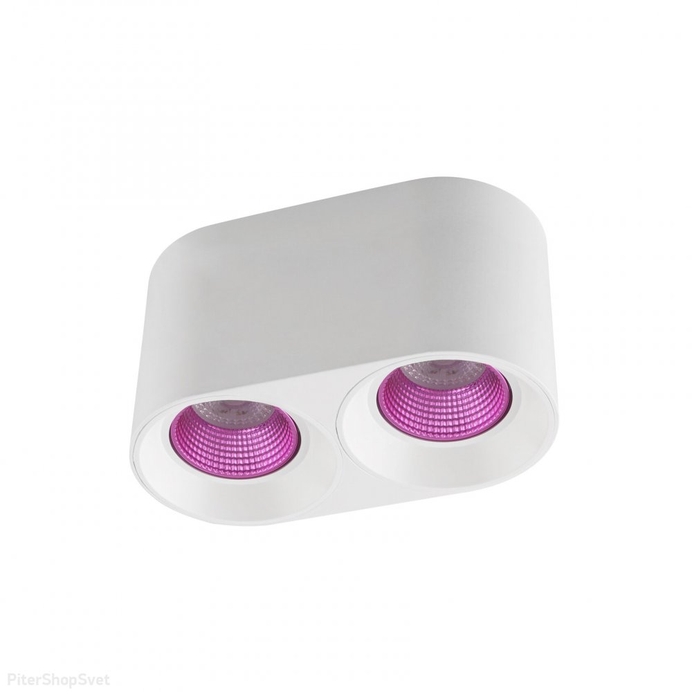 Бело-розовый двойной накладной потолочный светильник DK3096-WH+PI