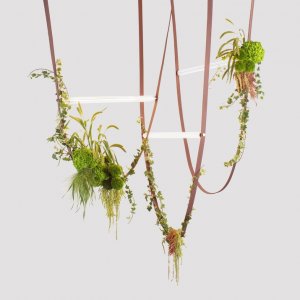 Серия / Коллекция «Almato» от Divinare™