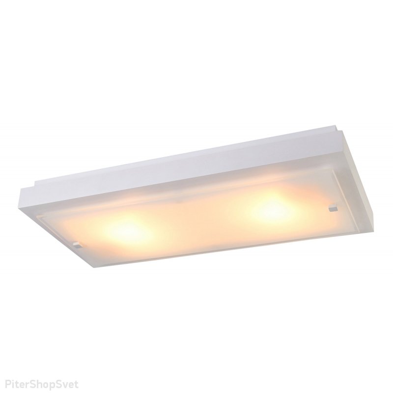 Белый настенно-потолочный светильник 199-11-22 ПОЛИНА Дубравия