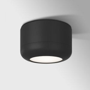 15Вт чёрный накладной потолочный светильник «Onde»
