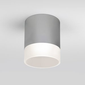 Серый уличный накладной потолочный светильник 15Вт 4000К