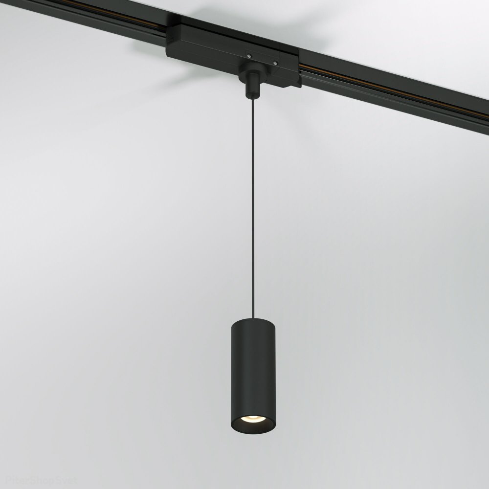 Чёрный подвесной однофазный трековый светильник 12Вт 4000К Amend (85113/01)