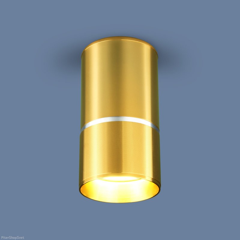 Накладной потолочный светильник DLN106 GU10 золото