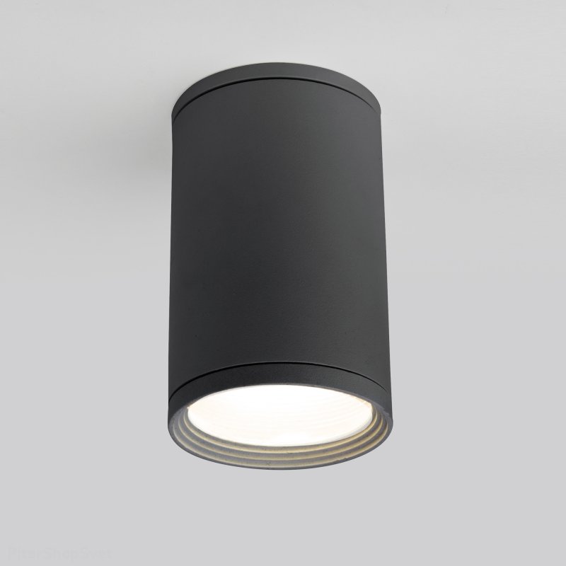 серый накладной IP65 светильник Light 2101 (35128/H) серый