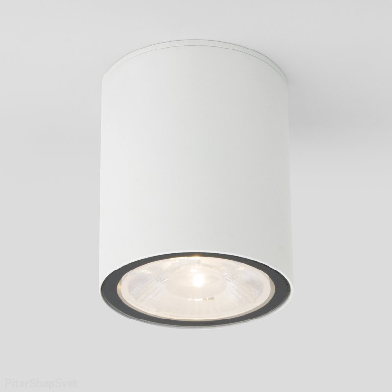 Белый уличный накладной потолочный светильник 7Вт 4000К IP65 Light LED 2103 (35131/H) белый