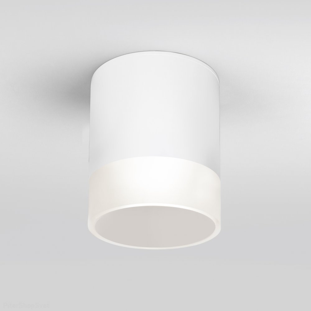 Белый уличный накладной потолочный светильник 15Вт 4000К IP54 Light LED 2107 (35140/H) белый