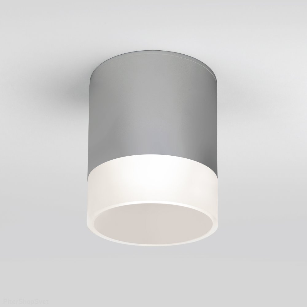 Серый уличный накладной потолочный светильник 15Вт 4000К Light LED 2107 (35140/H) серый