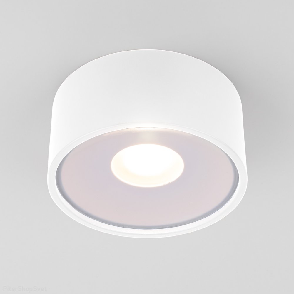 Белый уличный накладной потолочный светильник 12Вт 4000К IP65 Light LED 2135 (35141/H) белый