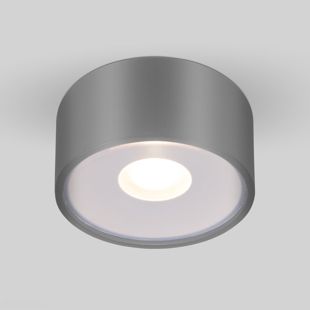 Серый уличный накладной потолочный светильник 12Вт 4000К Light LED 2135 (35141/H) серый