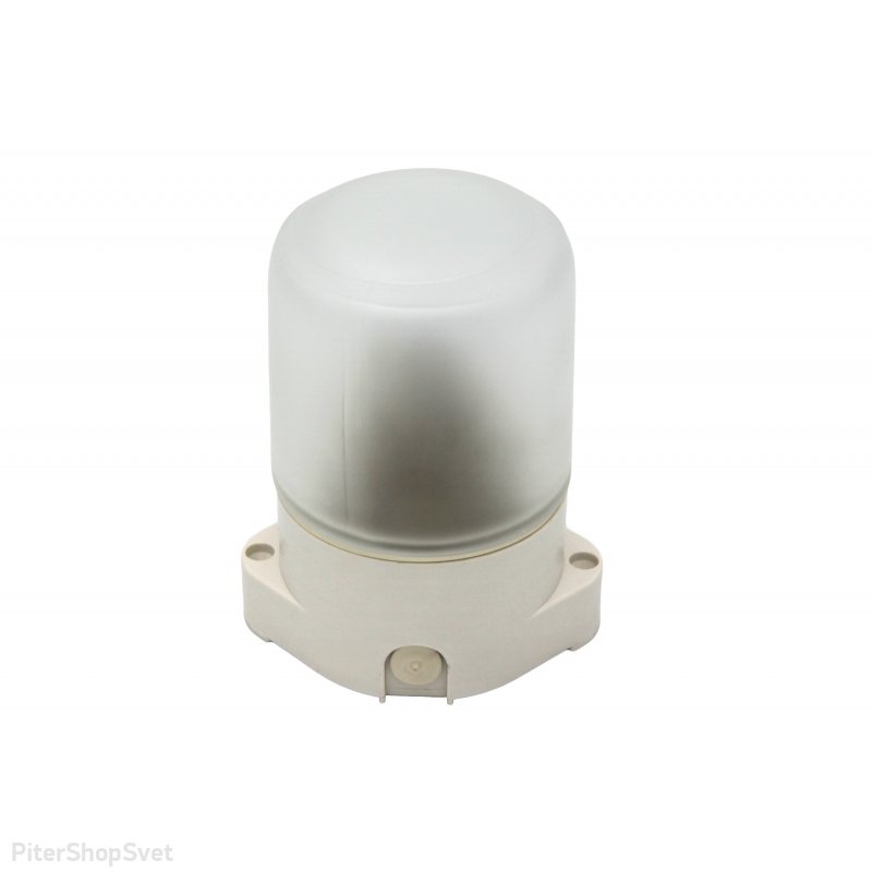 Термо-светильник для бань и саун «Лидер» НББ 01-60-001
