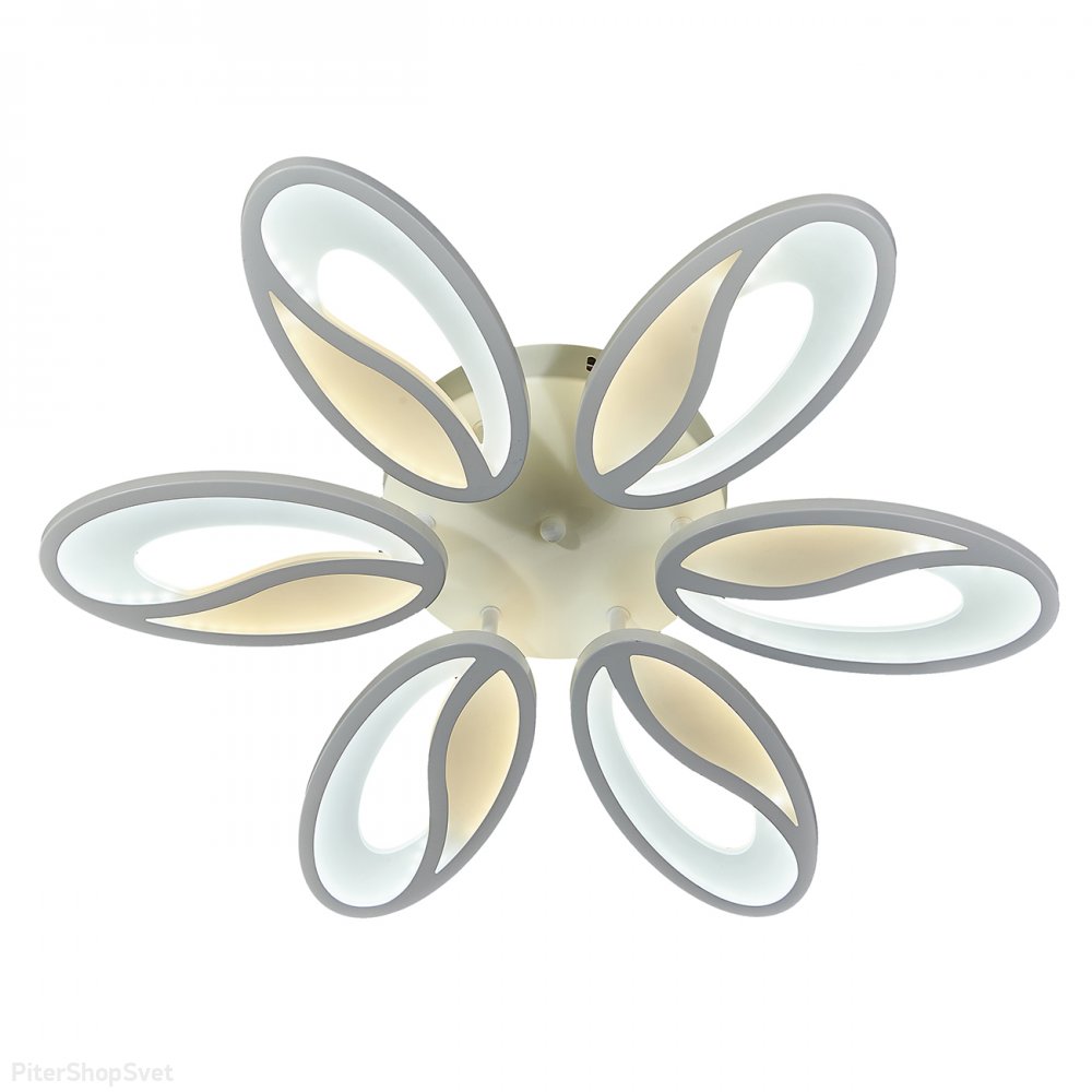 Серия / коллекция «Grain»