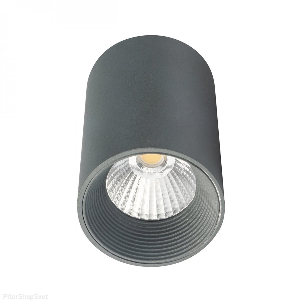 Серый 8Вт накладной потолочный светильник цилиндр 36 град 4200K «Техно» 20003SMU/01LED SGY