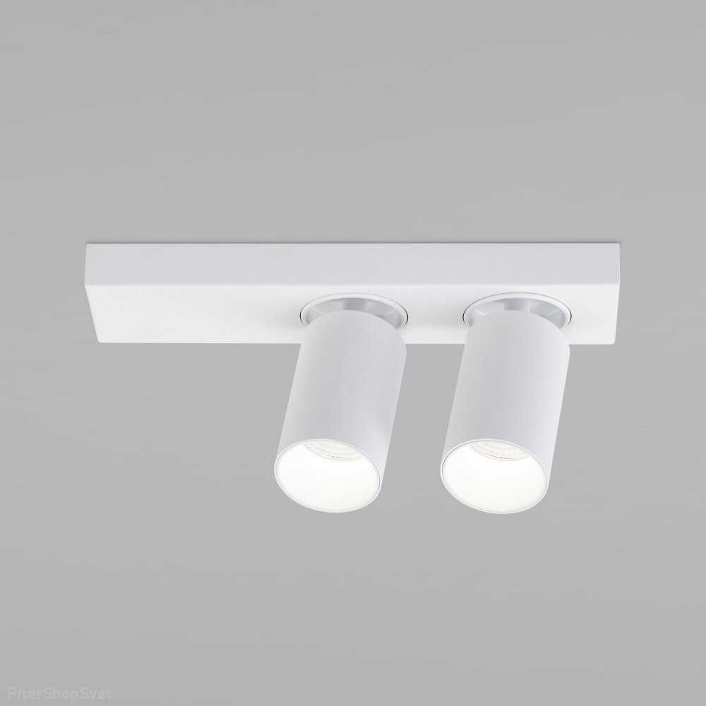 Белый двойной накладной поворотный светильник 10Вт 4200К «Flank» 20139/2 LED белый