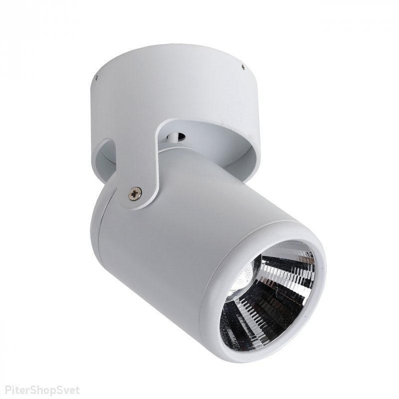 Спот «Projector» 1980-1U