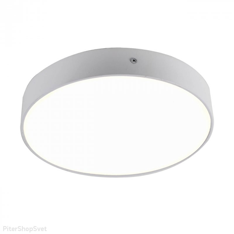 Светодиодный настенно-потолочный светильник «Flashled» 2065-30C