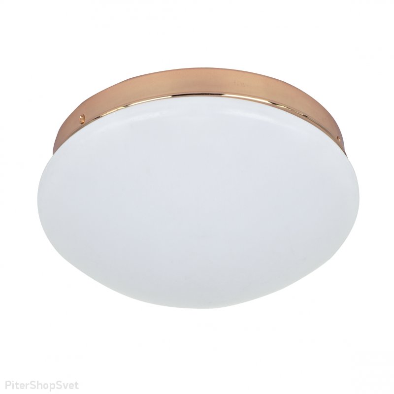 Круглый светильник «Ledante» 2465-1C