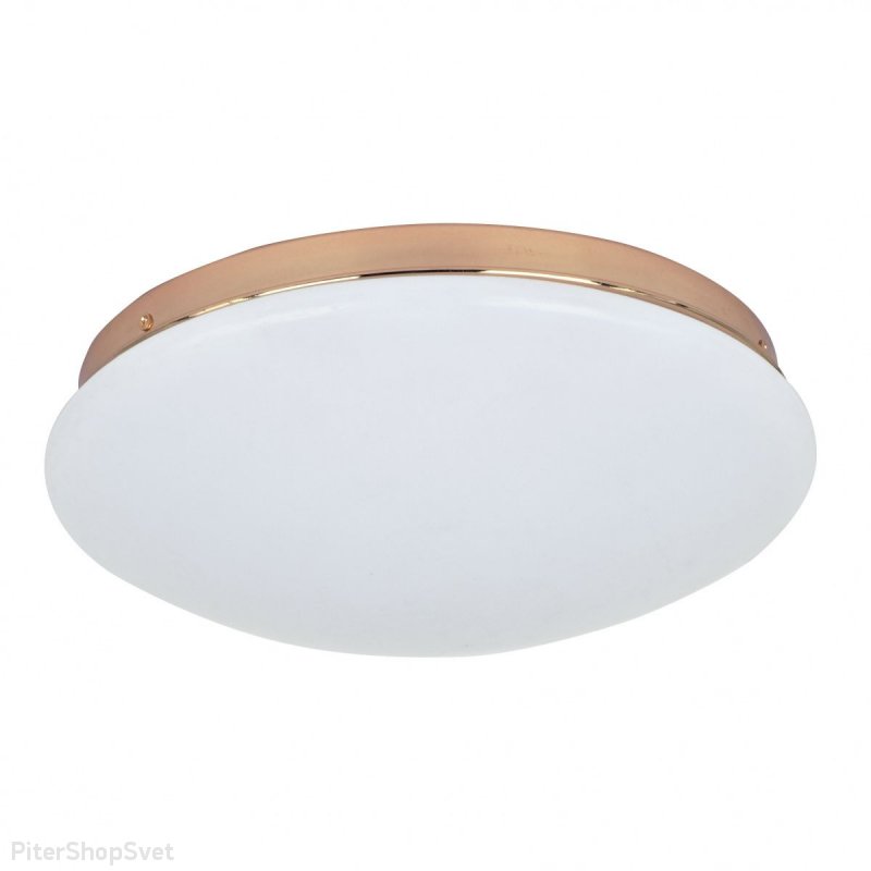 Светодиодная потолочная люстра «Ledante» 2465-2C