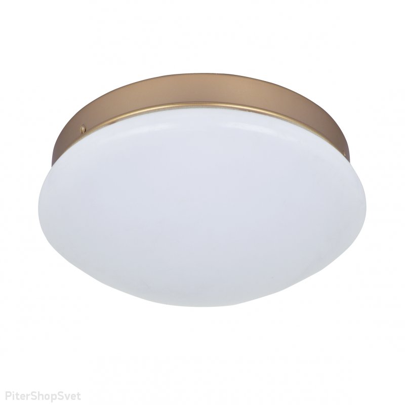 Светильник на основании золотого цвета «Ledante» 2466-1C