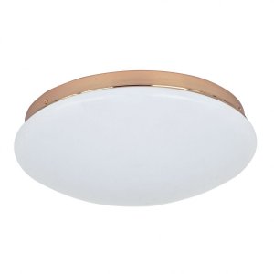 Светодиодная потолочная люстра «Ledante» 2465-2C