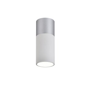 Бело-серебряный накладной потолочный светильник цилиндр «DEEPAK»