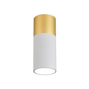 Бело-золотой накладной потолочный светильник цилиндр 5Вт 4000К «DEEPAK»