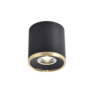 Чёрно-золотой накладной потолочный светильник цилиндр 10Вт 4000К «PRAKASH»